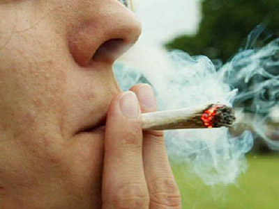 Expertos opinan sobre legalización de marihuana